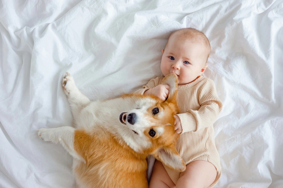 Un bebé junto a su perro